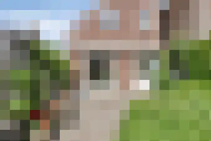 Elte Martens Beimastrjitte 64 Eastermar thumbnail 23