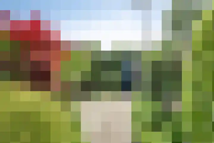 Elte Martens Beimastrjitte 64 Eastermar thumbnail 24