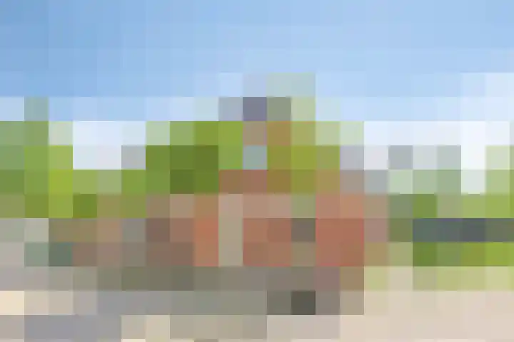 Elte Martens Beimastrjitte 64 Eastermar thumbnail 28