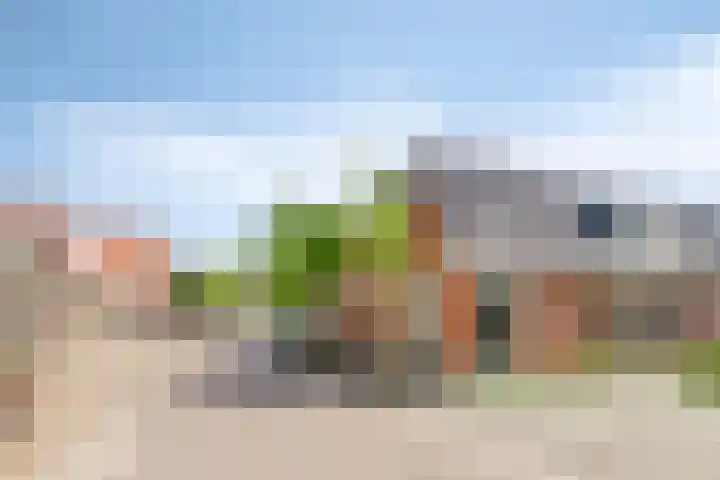 Elte Martens Beimastrjitte 64 Eastermar thumbnail 29