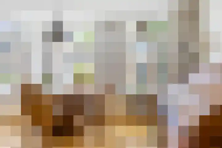 Elte Martens Beimastrjitte 64 Eastermar thumbnail 8