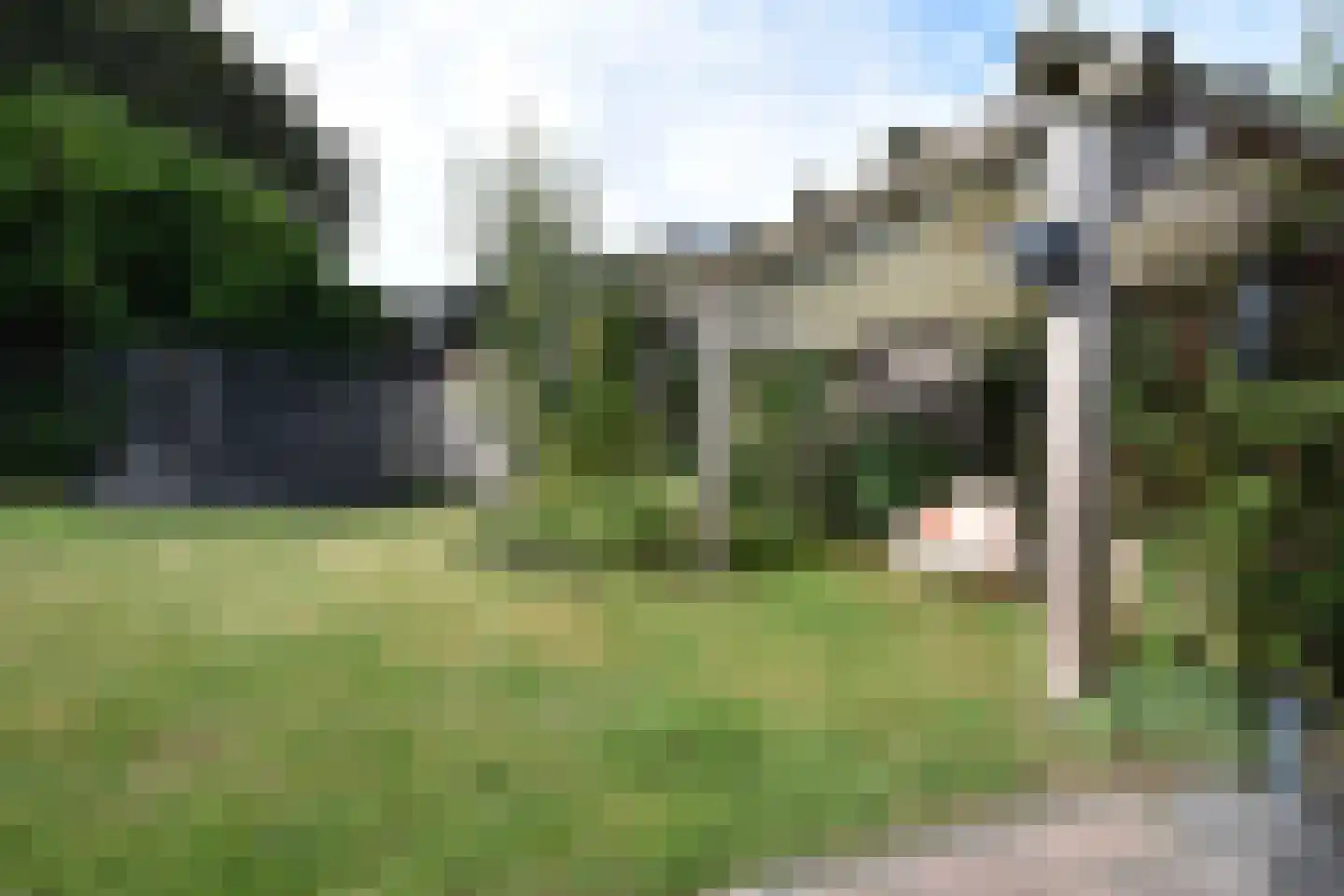 Elte Martens Beimastrjitte 70 Eastermar thumbnail 21