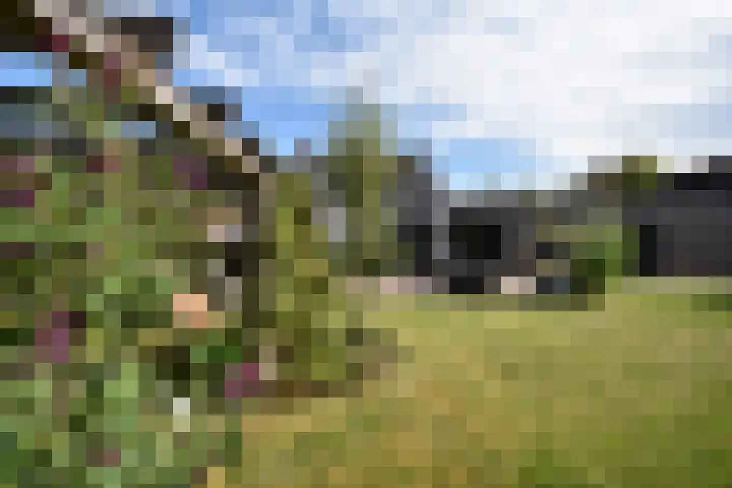Elte Martens Beimastrjitte 70 Eastermar thumbnail 22
