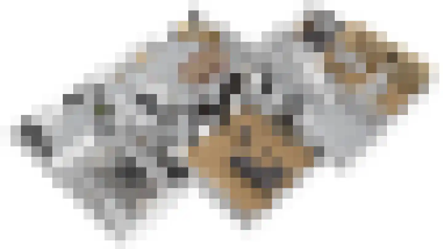 Elte Martens Beimastrjitte 70 Eastermar thumbnail 26