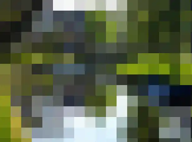 Elte Martens Beimastrjitte 70 Eastermar thumbnail 4