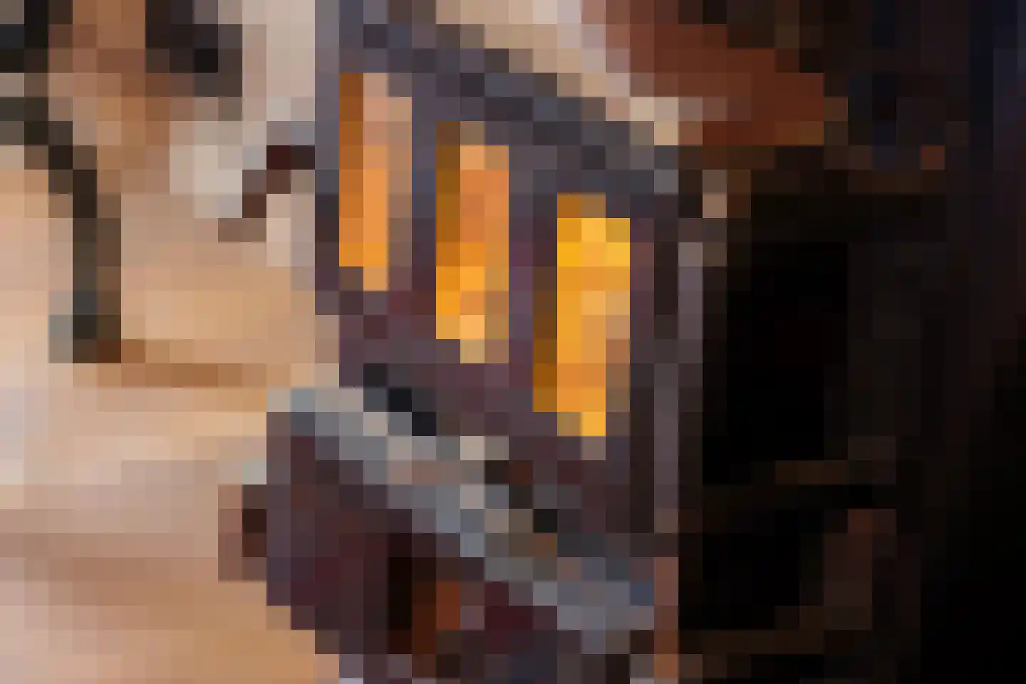 Elte Martens Beimastrjitte 8 Eastermar thumbnail 26