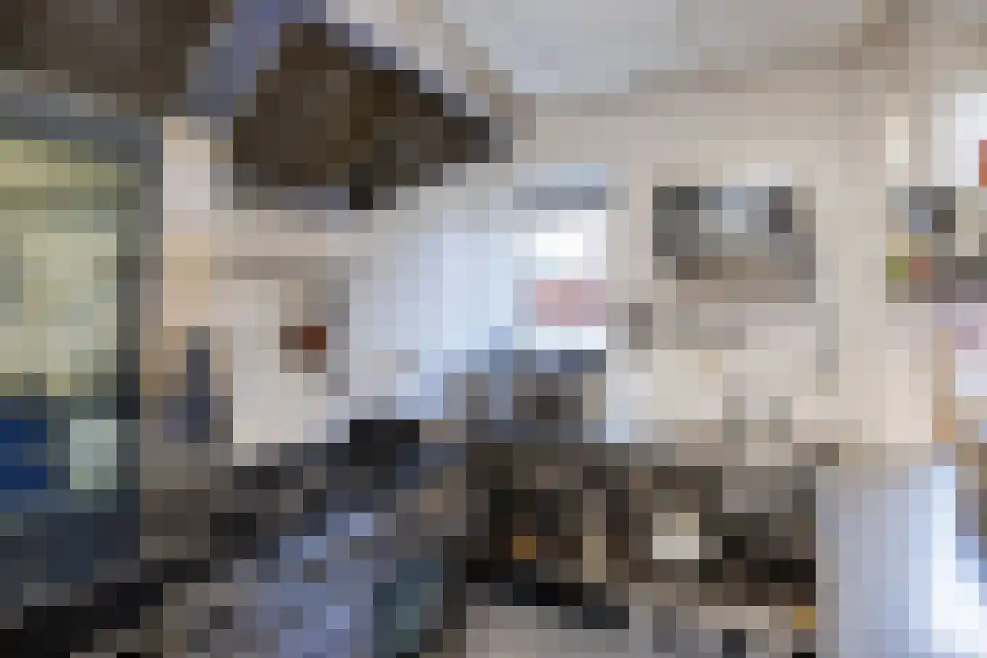 Elte Martens Beimastrjitte 8 Eastermar thumbnail 28