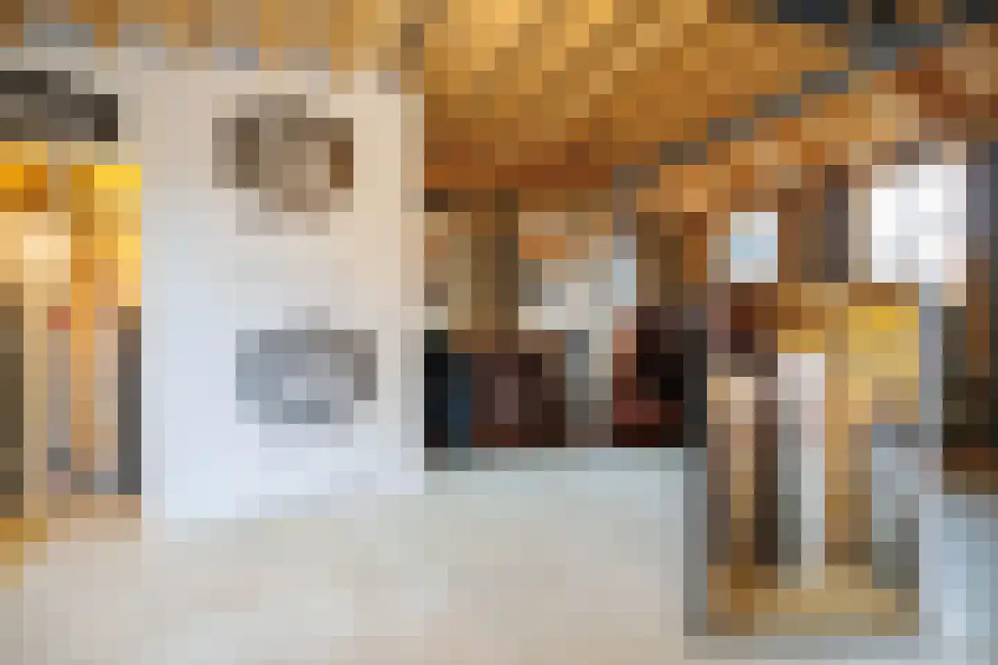 Elte Martens Beimastrjitte 8 Eastermar thumbnail 40