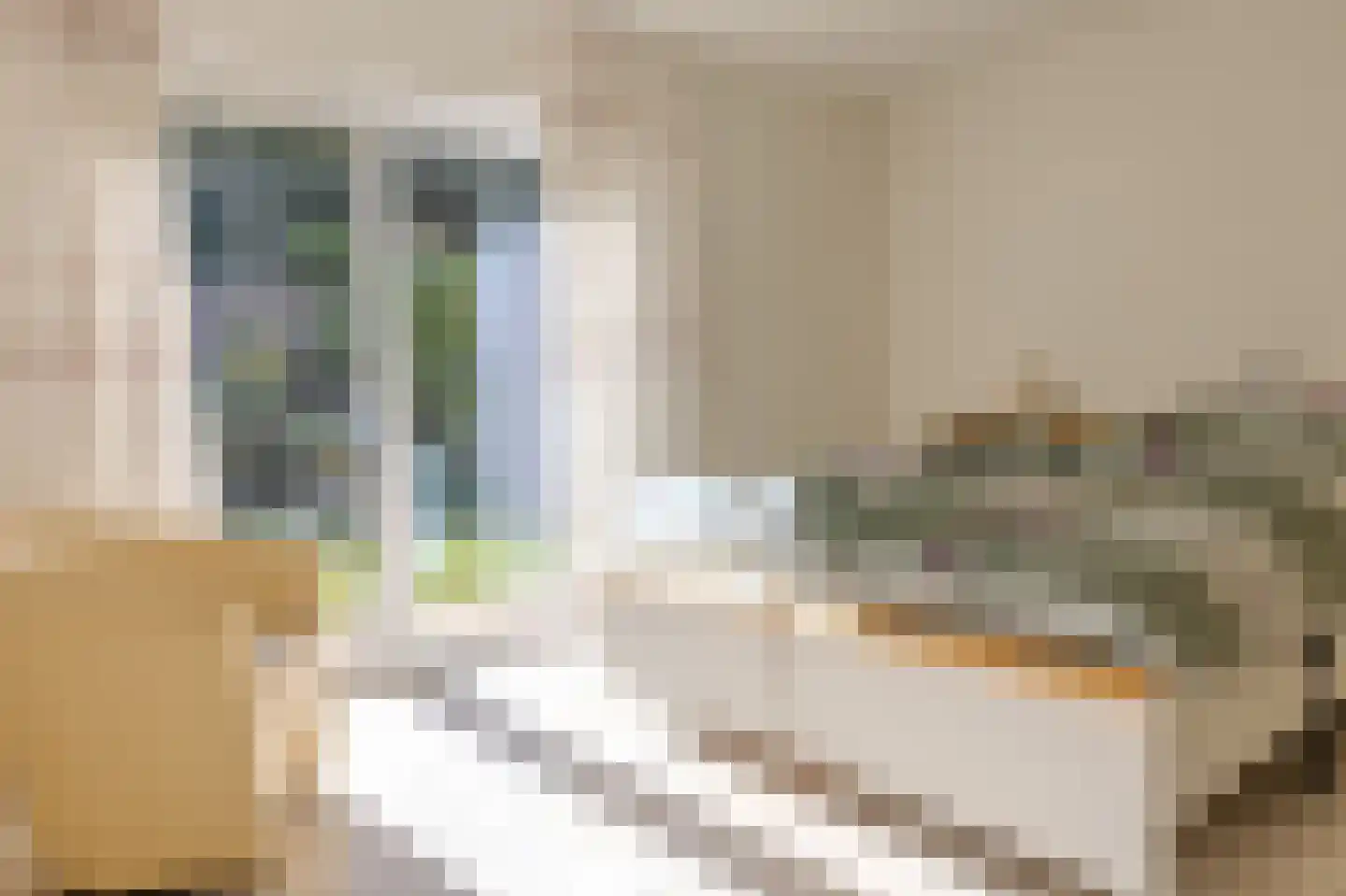 Eltenseweg 23 Lobith thumbnail 9