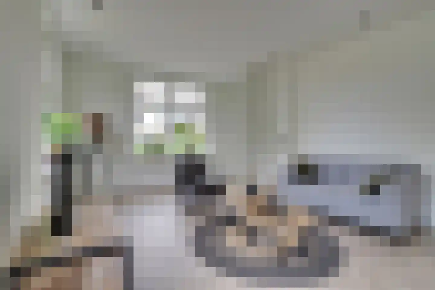 Eltenseweg 7 a Stokkum thumbnail 8