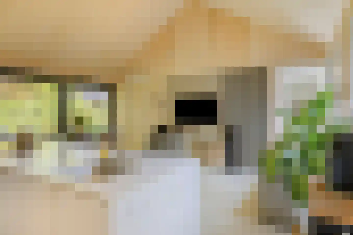 Eltenseweg 8 e Stokkum thumbnail 12