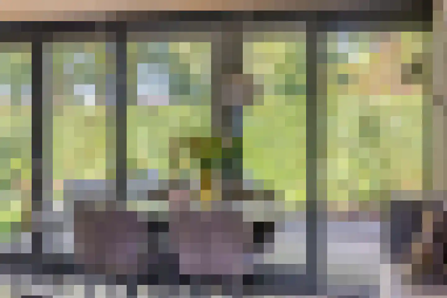 Eltenseweg 8 e Stokkum thumbnail 16