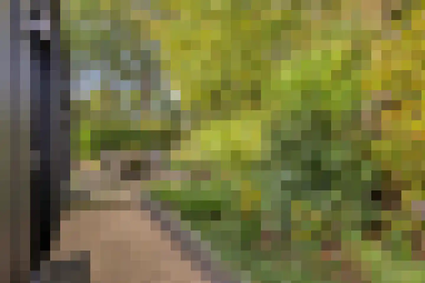Eltenseweg 8 e Stokkum thumbnail 31
