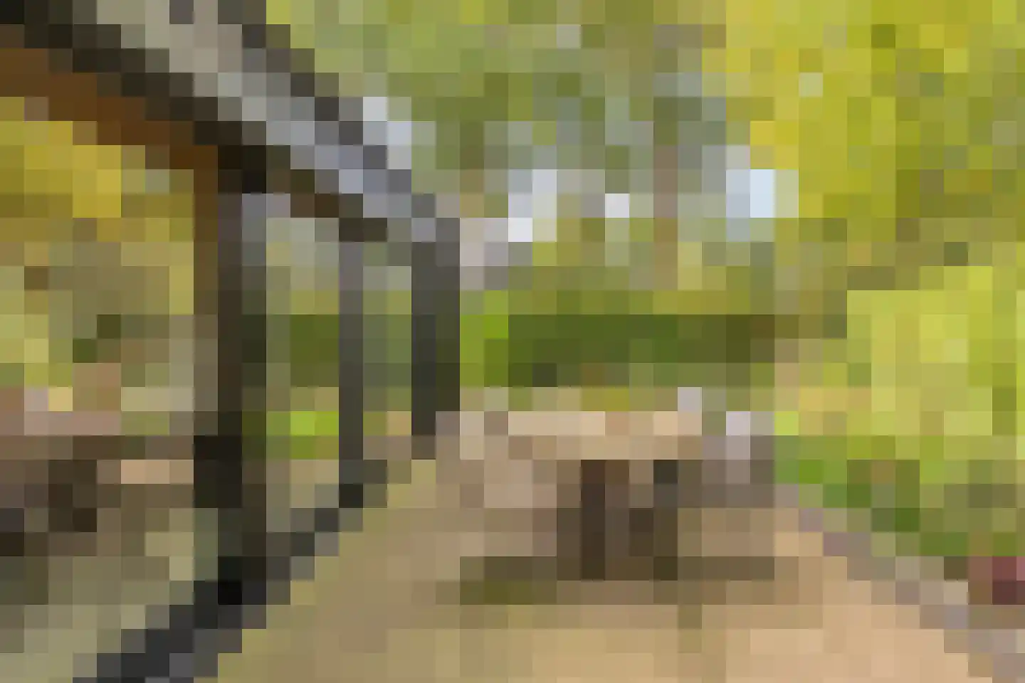 Eltenseweg 8 e Stokkum thumbnail 32
