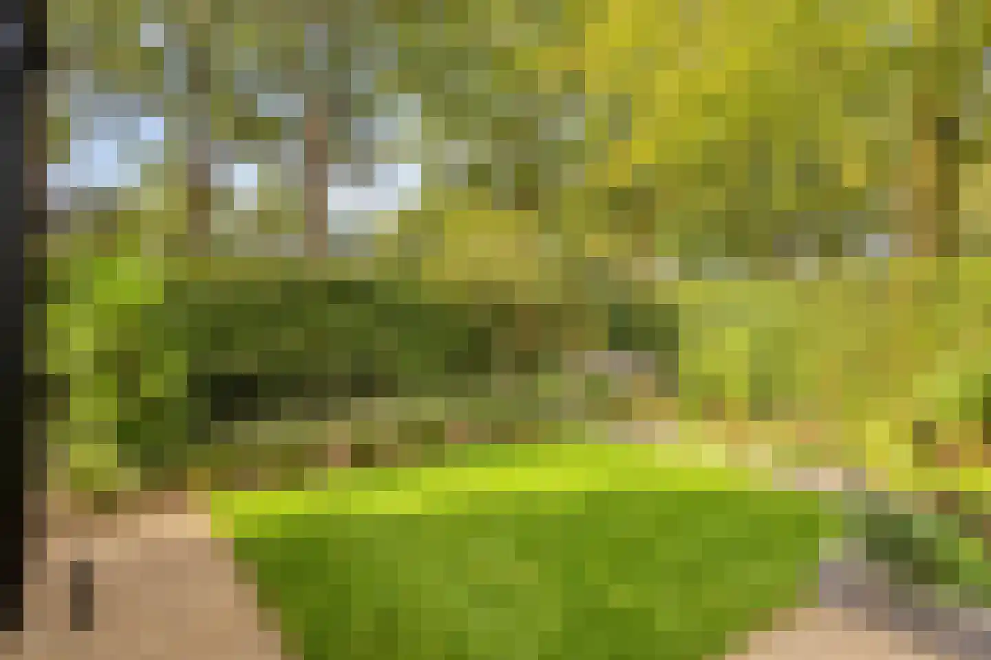 Eltenseweg 8 e Stokkum thumbnail 33