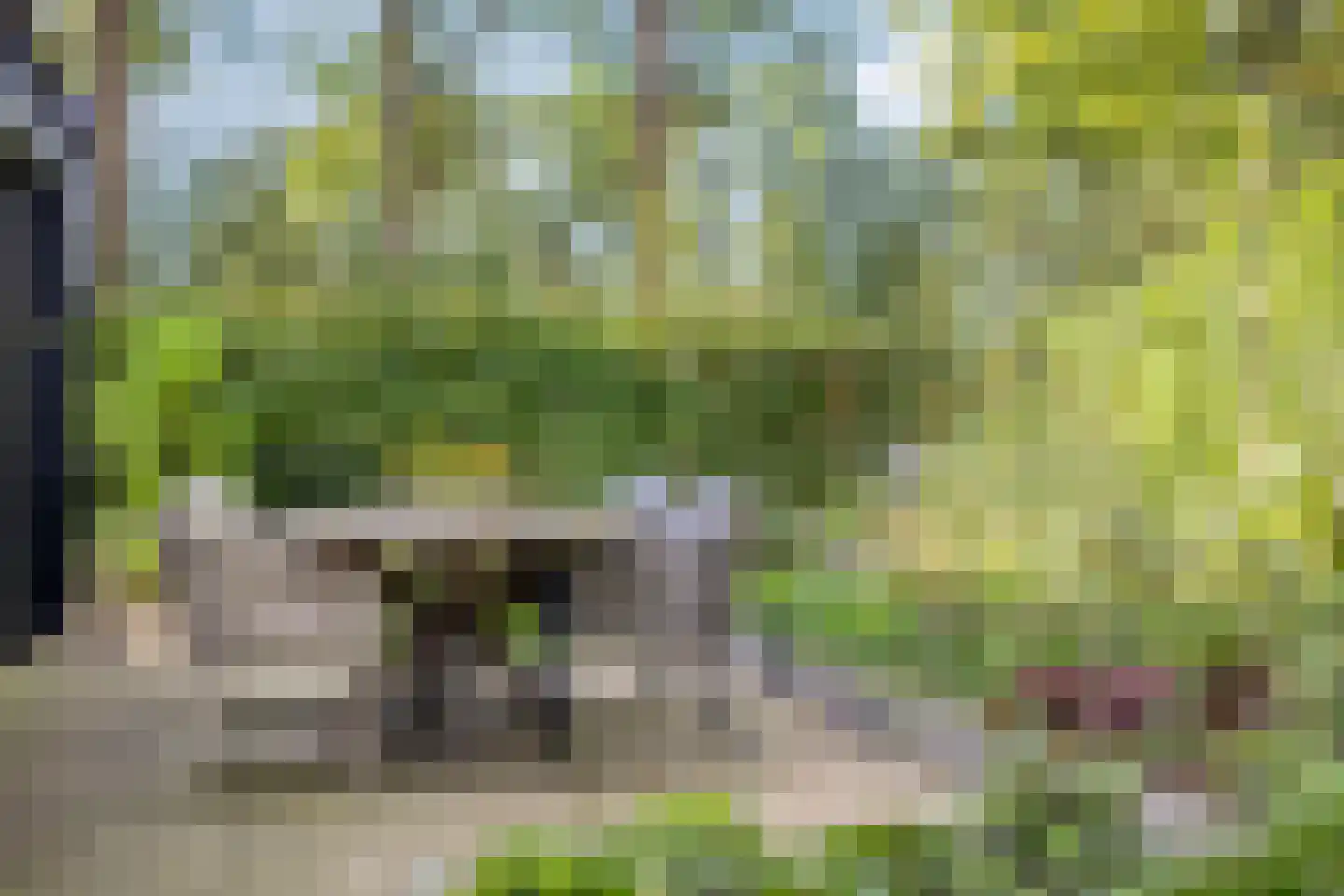 Eltenseweg 8 e Stokkum thumbnail 35