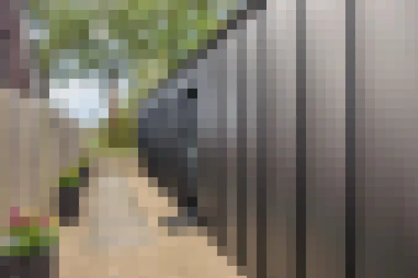 Eltenseweg 8 e Stokkum thumbnail 6