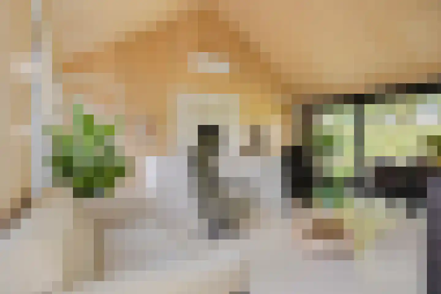 Eltenseweg 8 e Stokkum thumbnail 9