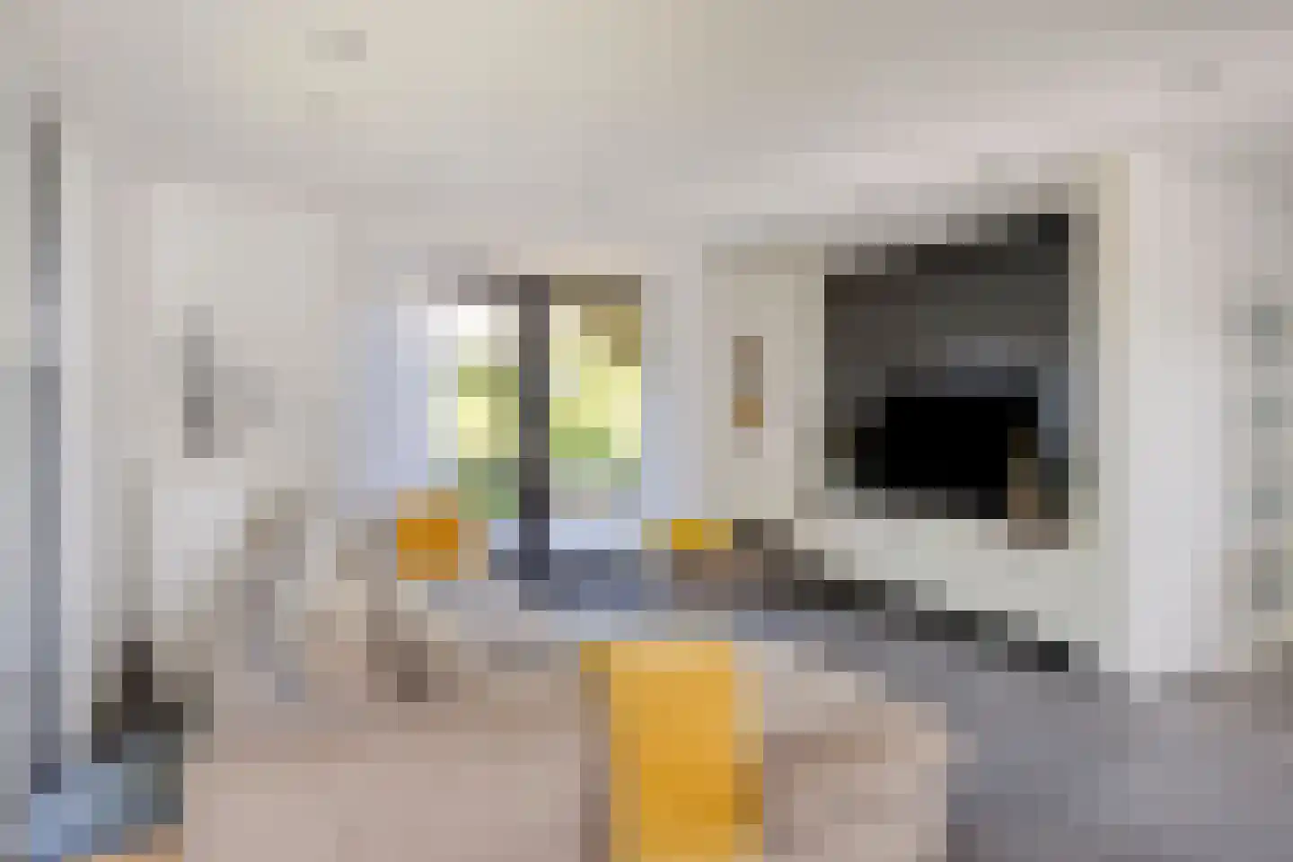 Eltenseweg 8 j Stokkum thumbnail 15