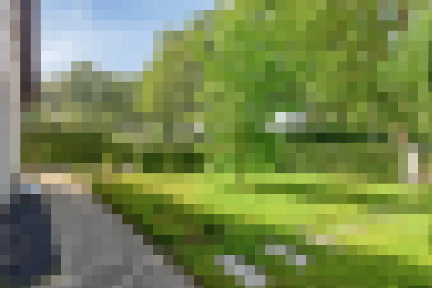 Eltenseweg 8 j Stokkum thumbnail 5