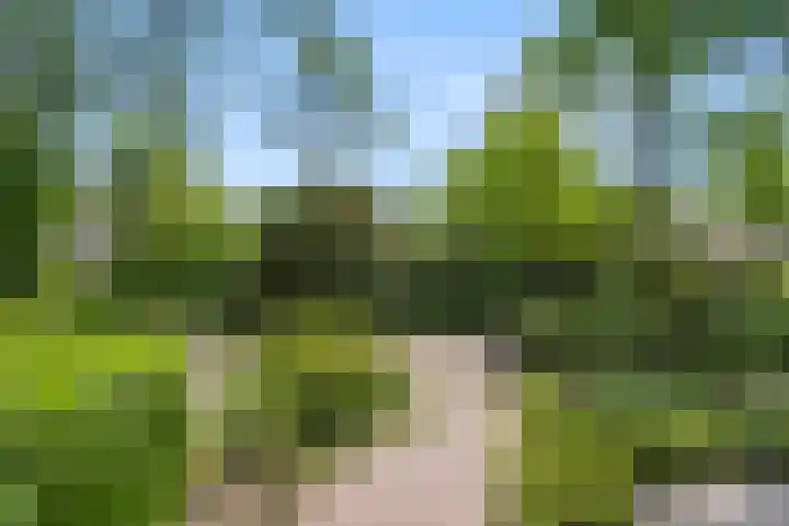 Elterse Hof 24 Bennekom thumbnail 11