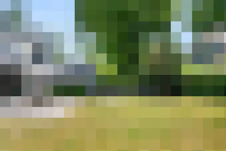 Elterse Hof 24 Bennekom thumbnail 16