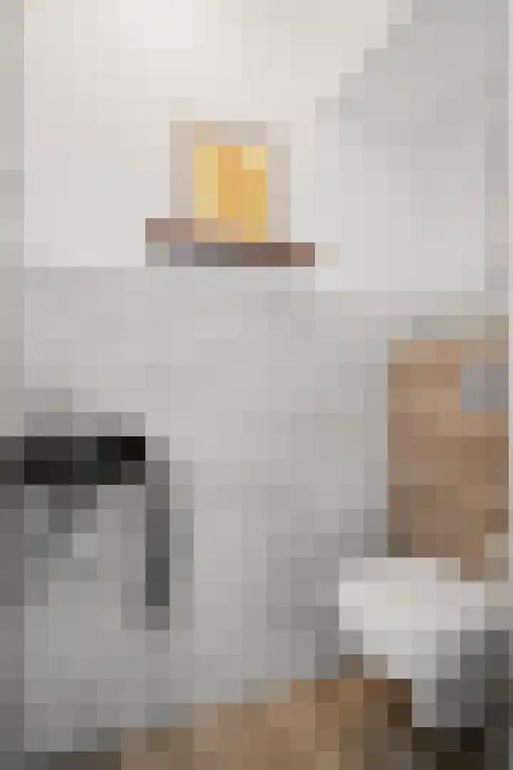 Elterse Hof 24 Bennekom thumbnail 30
