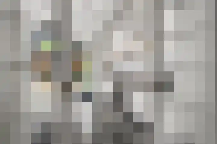 Elterse Hof 24 Bennekom thumbnail 41