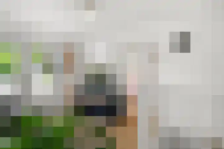 Elterse Hof 24 Bennekom thumbnail 59