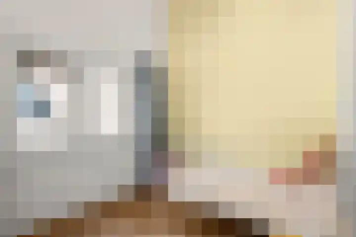Elterse Hof 24 Bennekom thumbnail 64