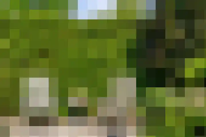 Elterse Hof 31 Bennekom thumbnail 10