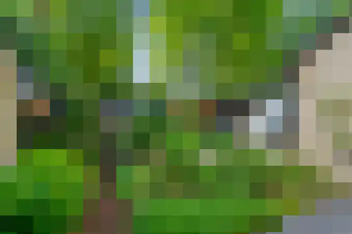 Elterse Hof 31 Bennekom thumbnail 11