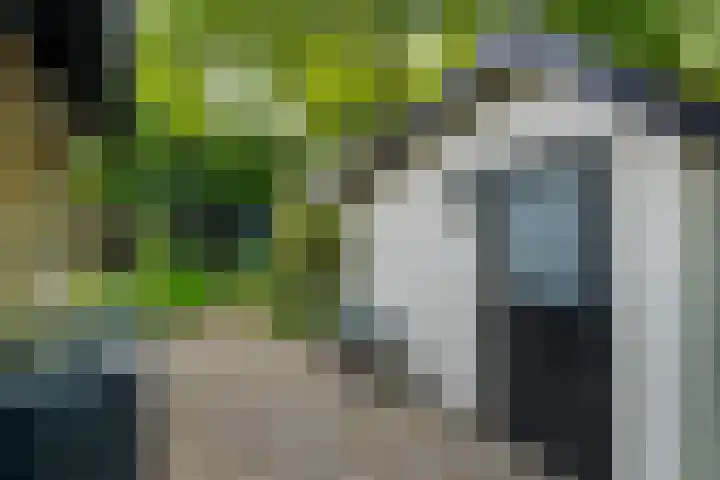 Elterse Hof 31 Bennekom thumbnail 12