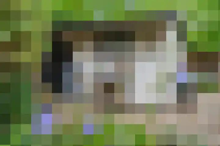 Elterse Hof 31 Bennekom thumbnail 13
