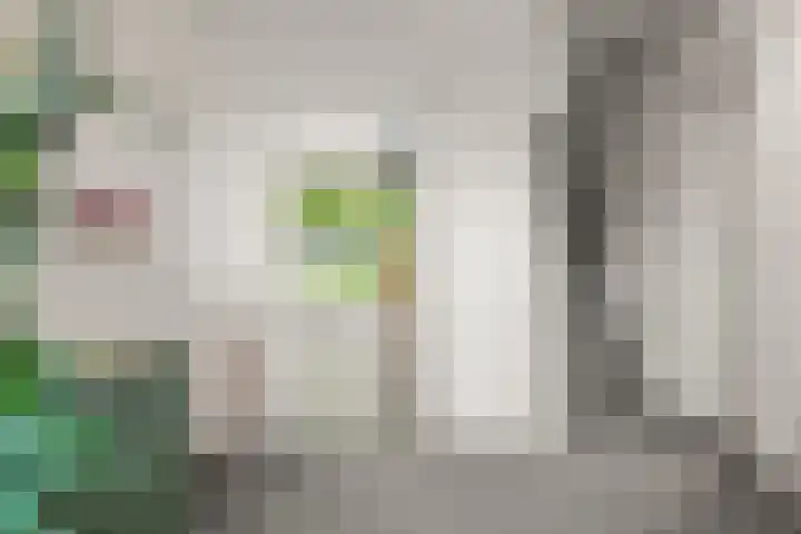 Elterse Hof 31 Bennekom thumbnail 17