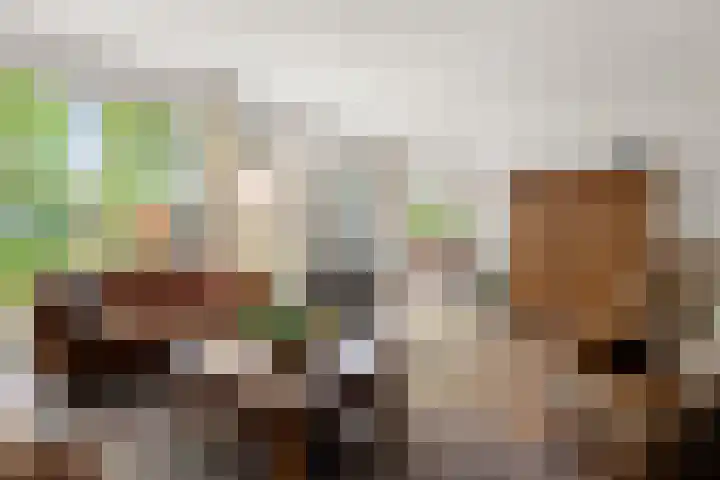 Elterse Hof 31 Bennekom thumbnail 24