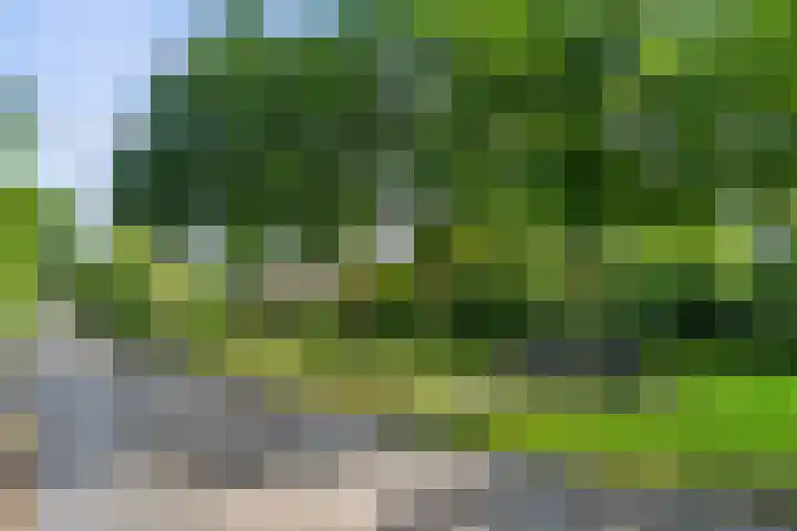 Elterse Hof 31 Bennekom thumbnail 4