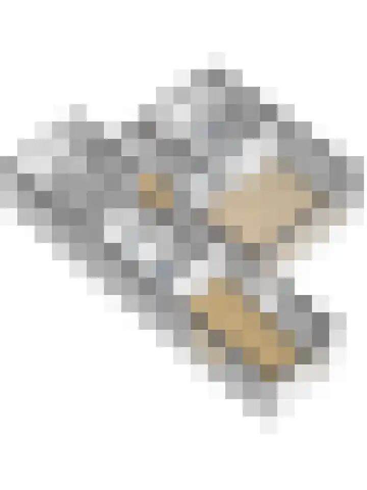 Elterse Hof 31 Bennekom thumbnail 45