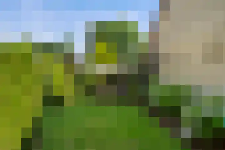 Elterse Hof 31 Bennekom thumbnail 8