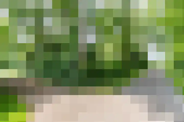 Eltinge 41 Zuidlaren thumbnail 10