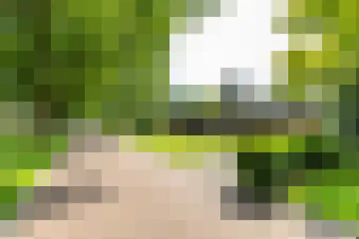 Eltinge 41 Zuidlaren thumbnail 12