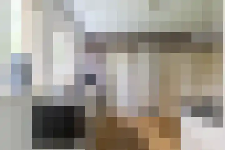 Eltinge 41 Zuidlaren thumbnail 21