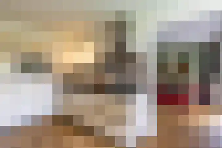 Eltinge 41 Zuidlaren thumbnail 22