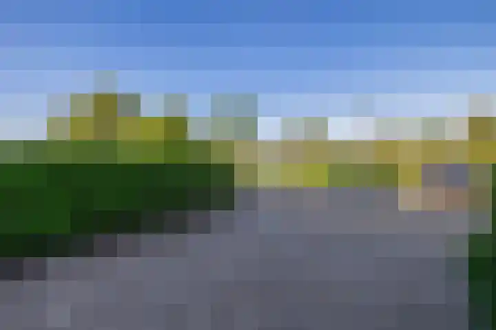 Eltinge 41 Zuidlaren thumbnail 28