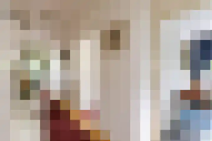 Eltinge 41 Zuidlaren thumbnail 34