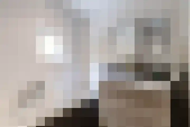 Eltinge 41 Zuidlaren thumbnail 40