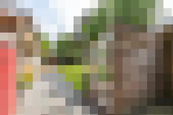 Eltinge 41 Zuidlaren thumbnail 45