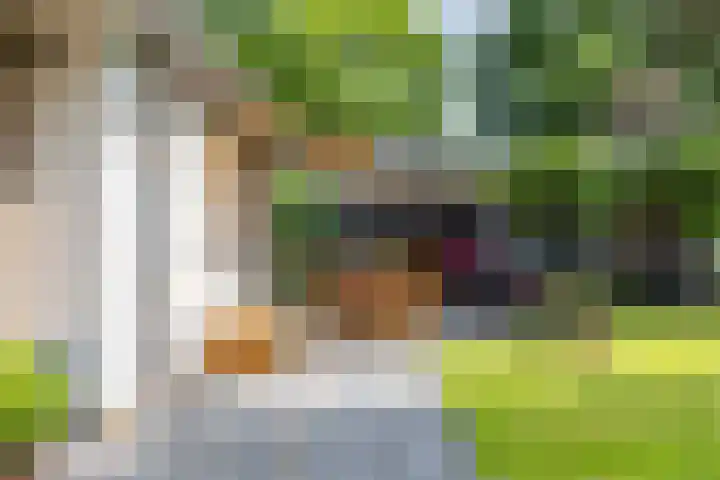 Eltinge 41 Zuidlaren thumbnail 47