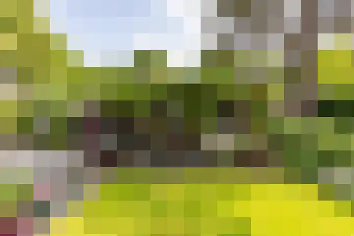 Eltinge 41 Zuidlaren thumbnail 51
