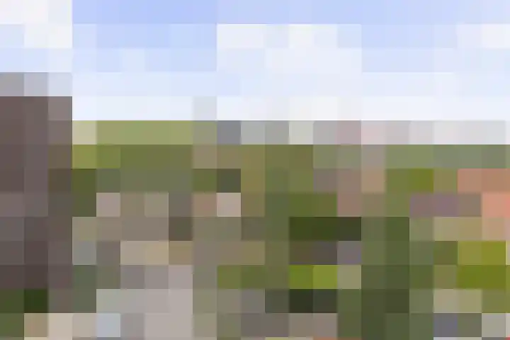 Eltinge 41 Zuidlaren thumbnail 6